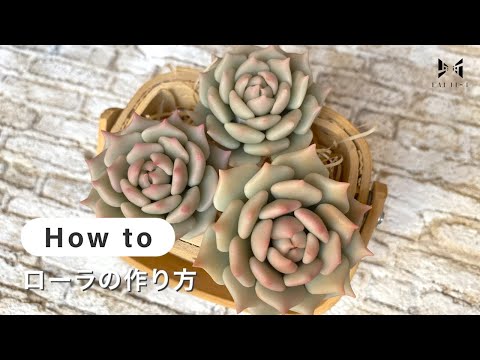 【mog】樹脂粘土のエケベリア 樹脂粘土の多肉エケベリア - メルカリ