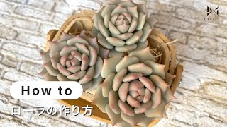 樹脂粘土・多肉植物】 ローラの作り方 | poncotage - YouTube