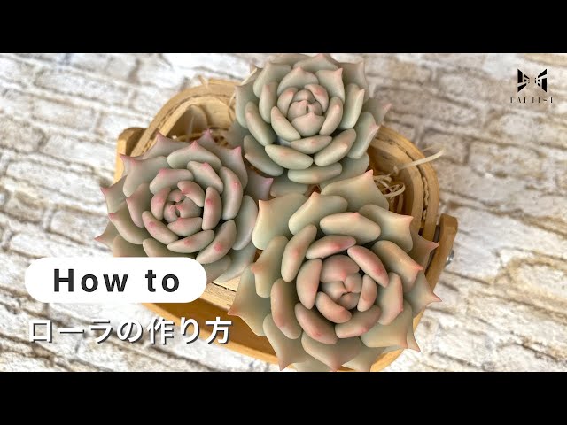 樹脂粘土・多肉植物】 ローラの作り方 | poncotage - YouTube