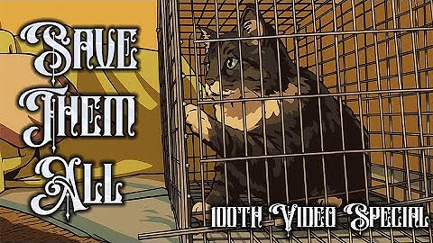 Save Them All | TNR Project | 100th Video Special!