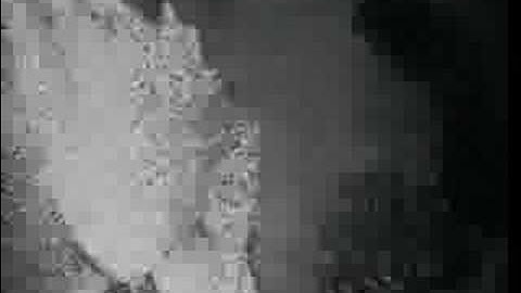 Xotox - Psi VJ Bolverk EBM IDM CLIP