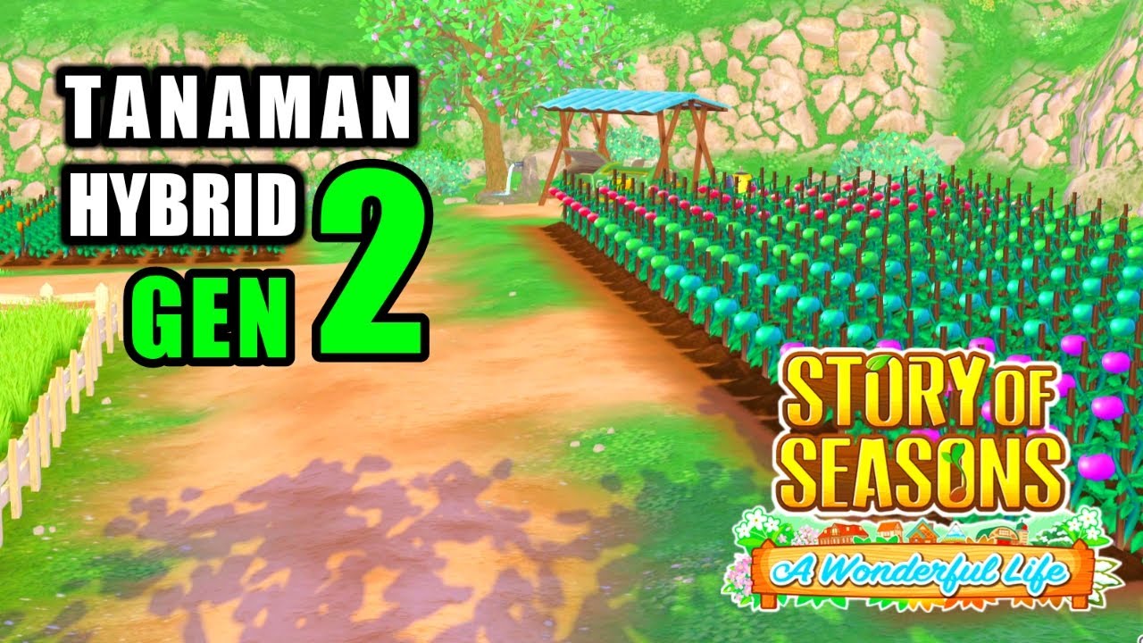 TANAMAN HYBRID GENERASI 2 | STORY OF SEASONS : A WONDERFUL LIFE