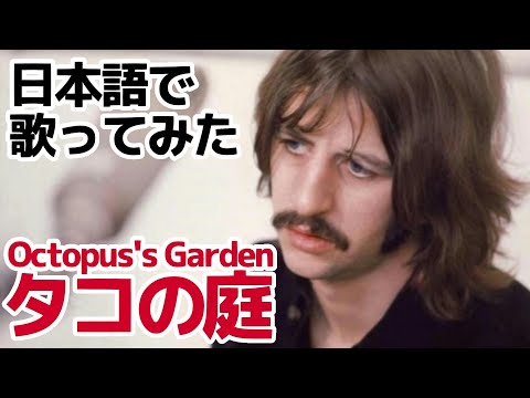 【ビートルズ】タコの庭（Octopus's Garden）【日本語で歌ってみた】