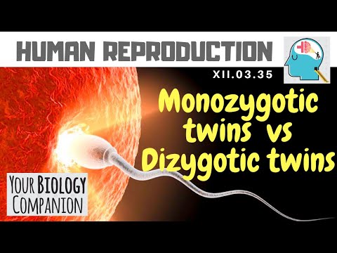 XII.03.35 – Monozygotic