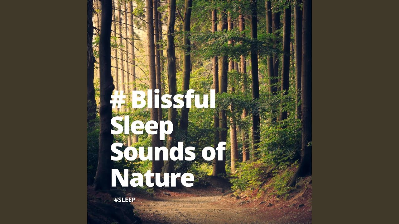 Listening To The Flowers YouTube