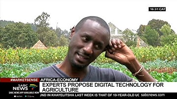 Experts propose digital technology for agriculture