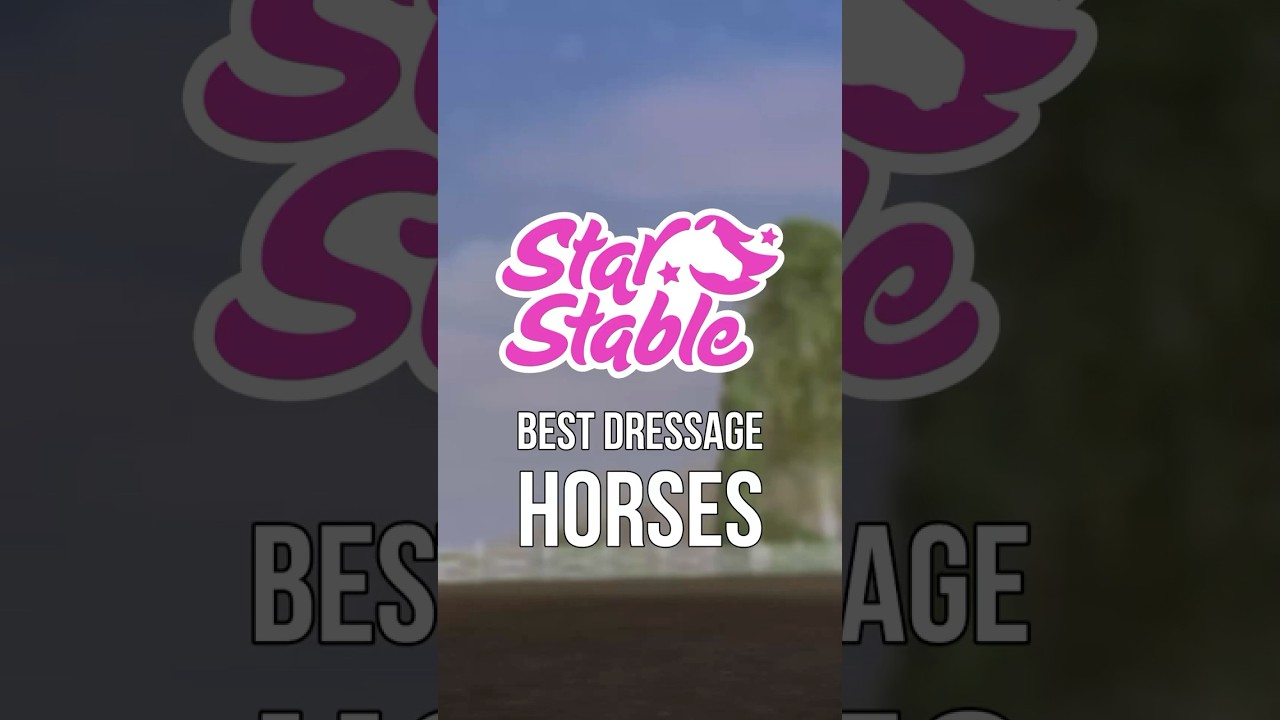 Best dressage horses in SSO 💫 