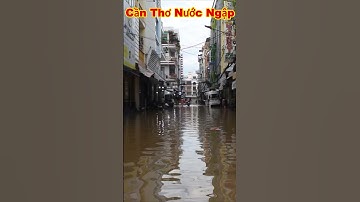 CẦN THƠ NƯỚC NGẬP ngập quá nha bà con ơi #shorts
