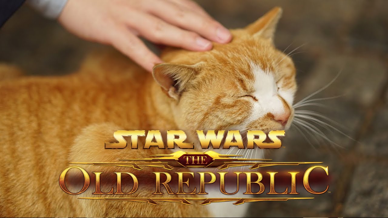 Https Encrypted Tbn0 Gstatic Com Images Q Tbn 3aand9gcryrwllihhy2lke3m6hq5tjhktug Rhjgkamw Usqp Cau