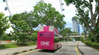 ONE - ONE runs in the world, ONE BUS runs in Singapore city. screenshot 1