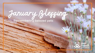 January 2024 Blessing from Angels Rest | Best Friends Animal Sanctuary by Best Friends Animal Society 276 views 2 months ago 15 minutes