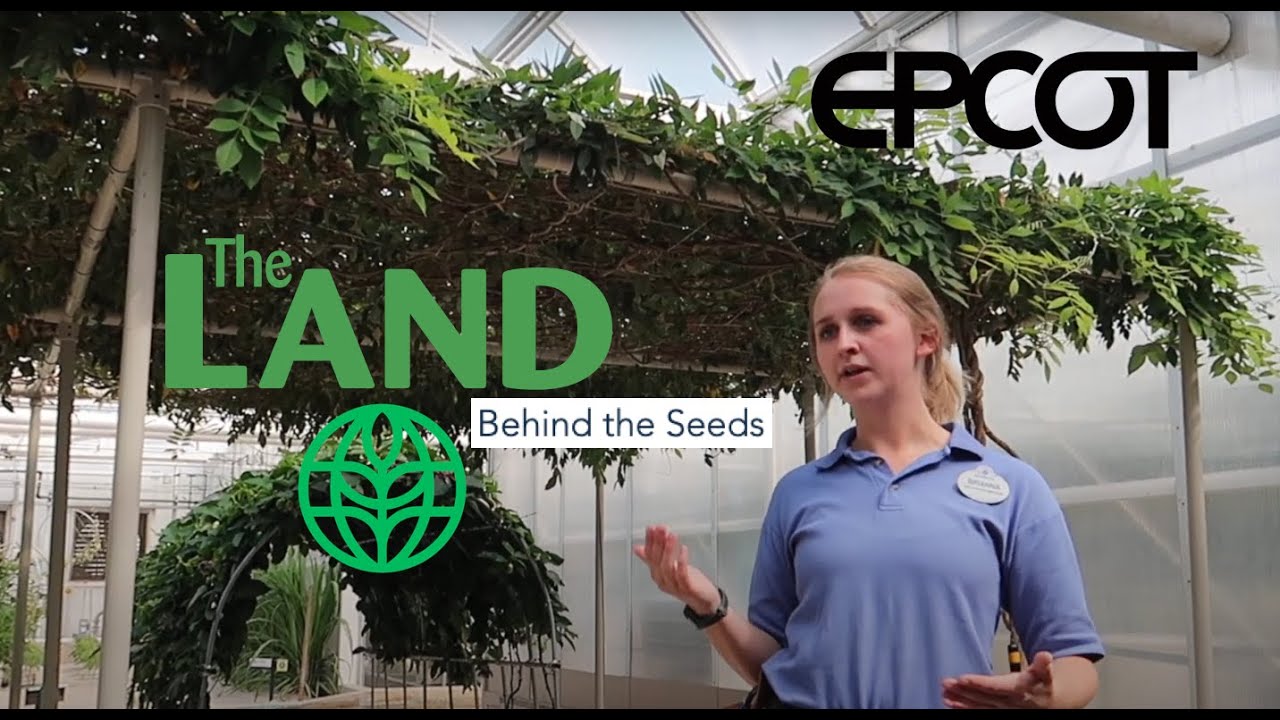Epcot's Behind the Seeds Tour - Full Experience Walk-Through (Pre-park closure)