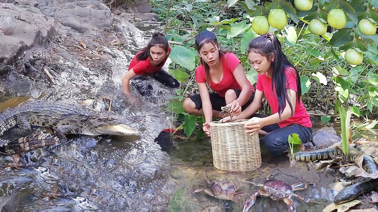 Catch crab and Pick natural guava  fruit for food of survival, Duck curry tasty for food in forest