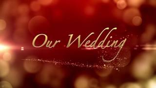 Free Wedding Background | Heart Pack 2 | Graphics-Wedding Title Background | motion graphics Pack Free Wedding Background | Heart Pack 2 | Graphics-Wedding Title Background | motion graphics Pack