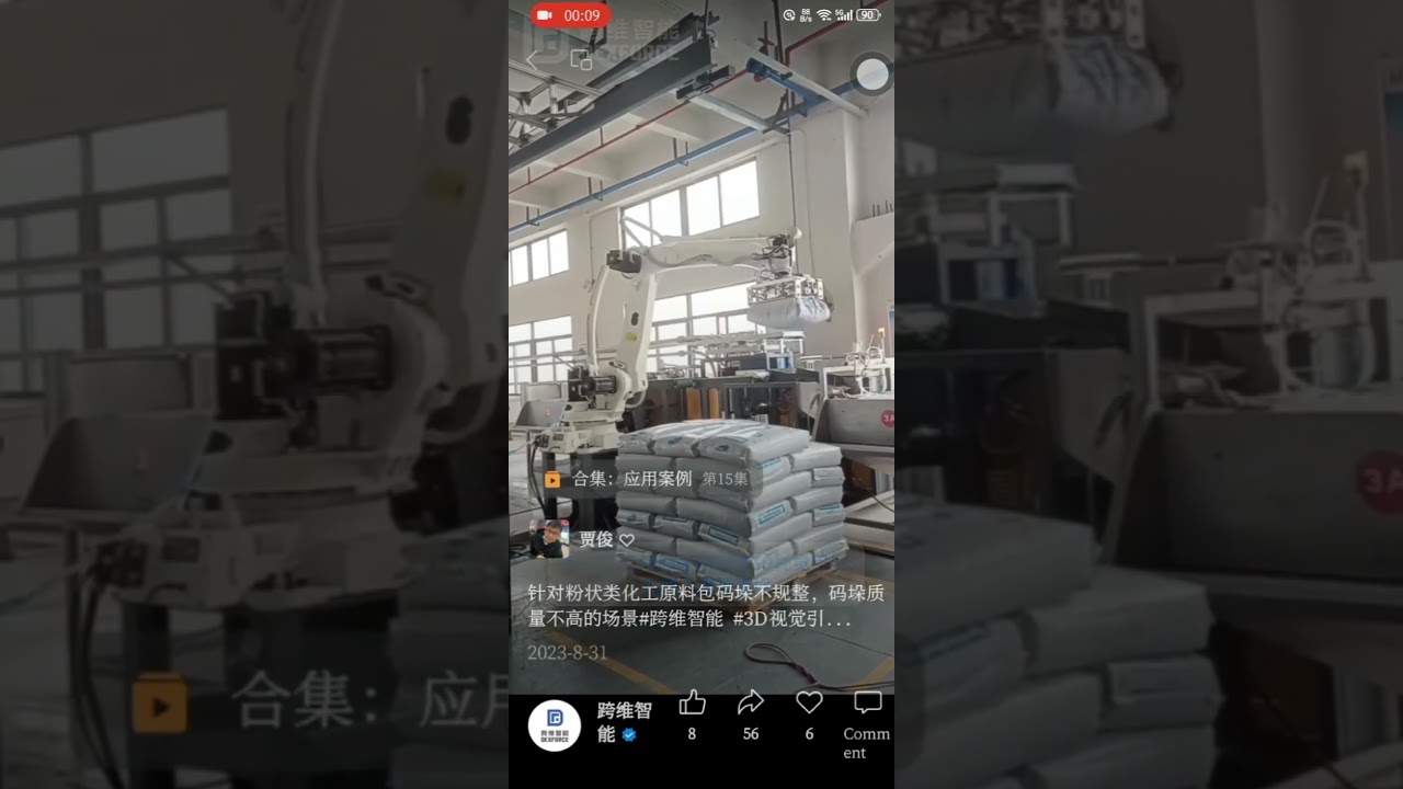 Industrial Robot Guided By Vision Camera For Sacks Depalletizing