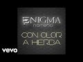 Enigma Norteño - Con Olor A Hierba (Audio/En Vivo)