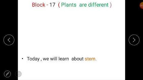 Class 1(E.V.S)- Lesson 4(Different kinds of Stems) of block 19(Plants are Different).