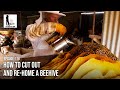 How to Cut Out and Re-Home a BeeHive - The Bush Bee Man