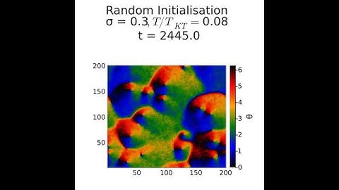 Non-Reciprocal XY Model 7c : Coarsening dynamics from a random configuration (σ = 0.30)