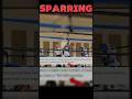 SPARRING EXPLAINED HINDI🥊#ufchindi #ufcindia #motivation #mmaindia #boxingindia #ufchindi #mmadost