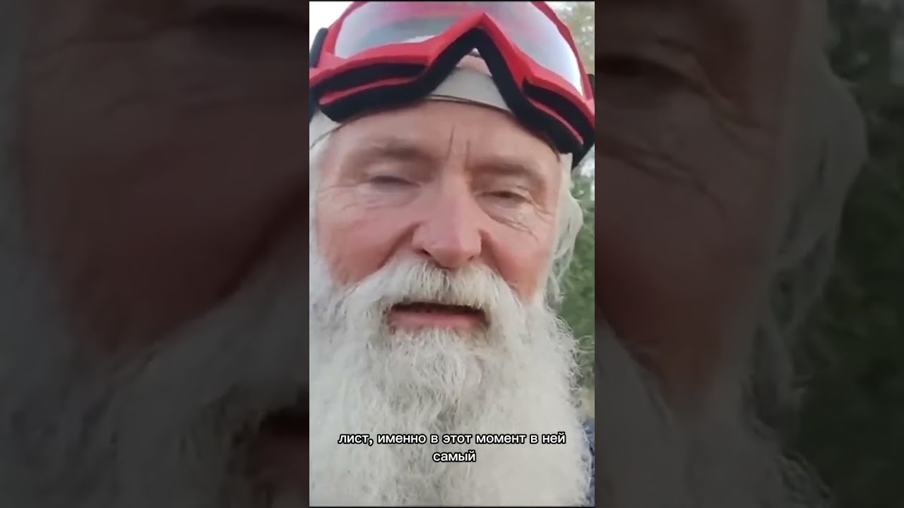 Когда собирать облепиху? #рецепты #рецепт #облепиха #чай #травы #здоровыйобразжизни