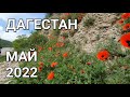 Дагестан, Май 2022 (без караоке)