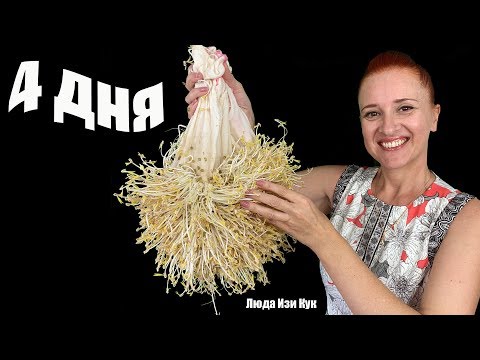 🌿Как вырастить проростки, Как прорастить ростки фасоли проращивание семян для еды проросшие бобы маш