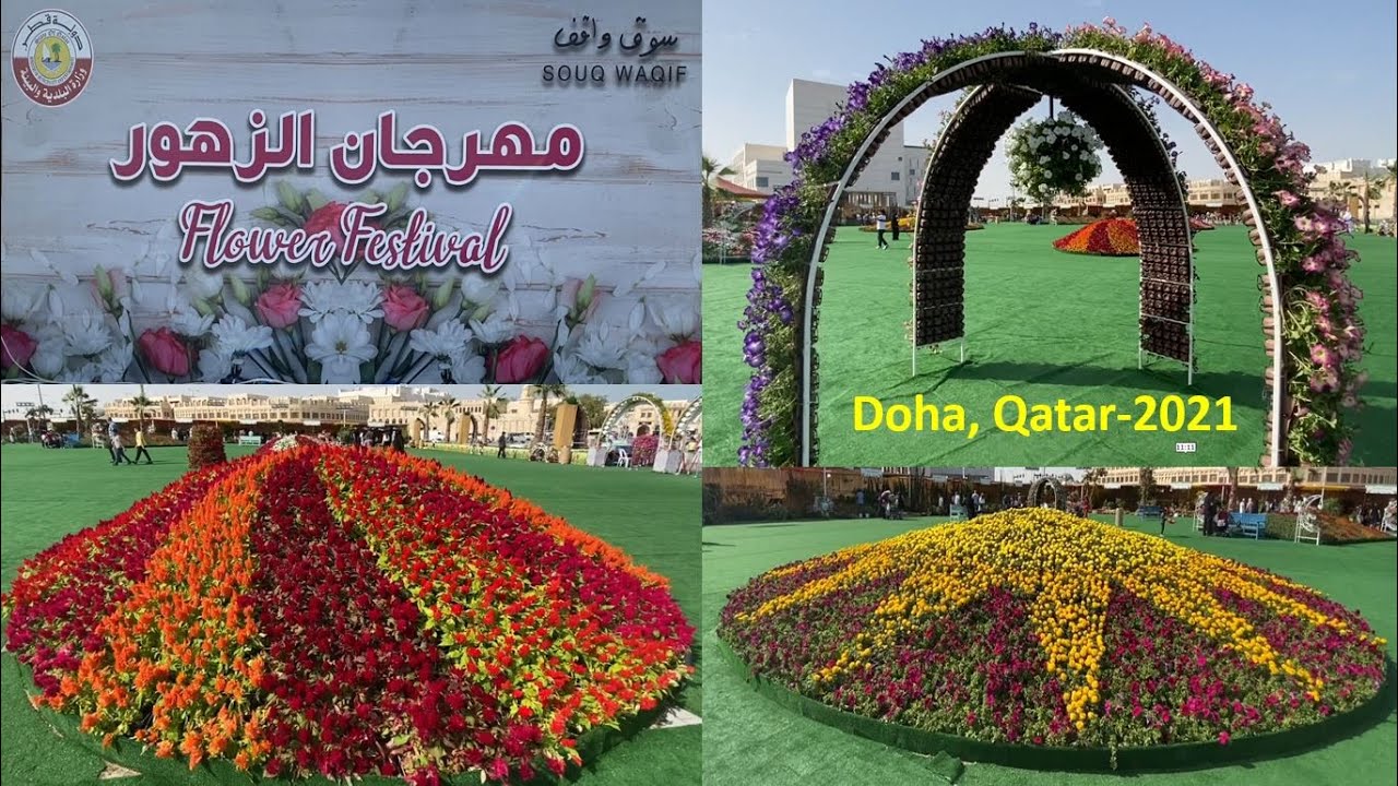 Flower festival in souq waqif Qatar 2021|Flower festival Qatar|Flower show  in Qatar|Flowers in Qatar - YouTube