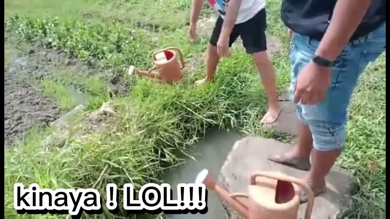 VISITING A FARM WITH FRIENDS & TWO BRITISH GUYS PART 2