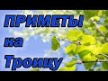 Троица. Народные приметы и поверья на Троицу