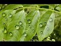 Water Drop Effect in Photoshop CS6