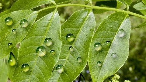 Water Drop Effect in Photoshop CS6