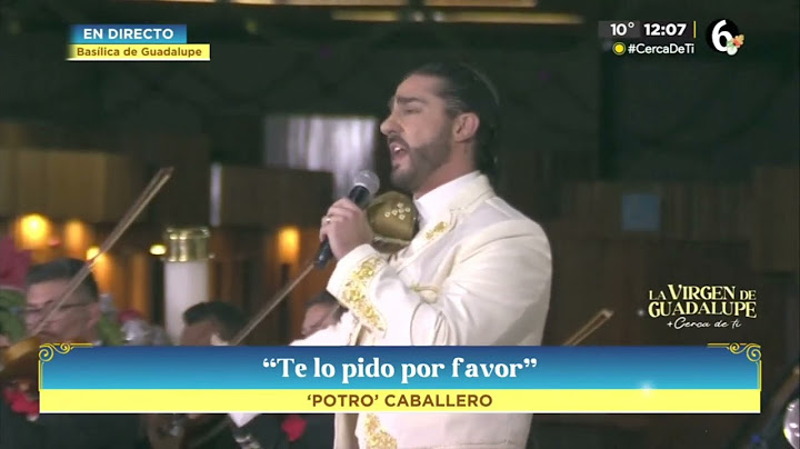 Potro Caballero  - Te lo pido por favor. ( Mañanitas a la Virgen de Guadalupe 2024 )