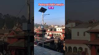 Pashupatinath temple visit KTM Nepal ?? 2024 travel vlog religion harharshambhu shorts