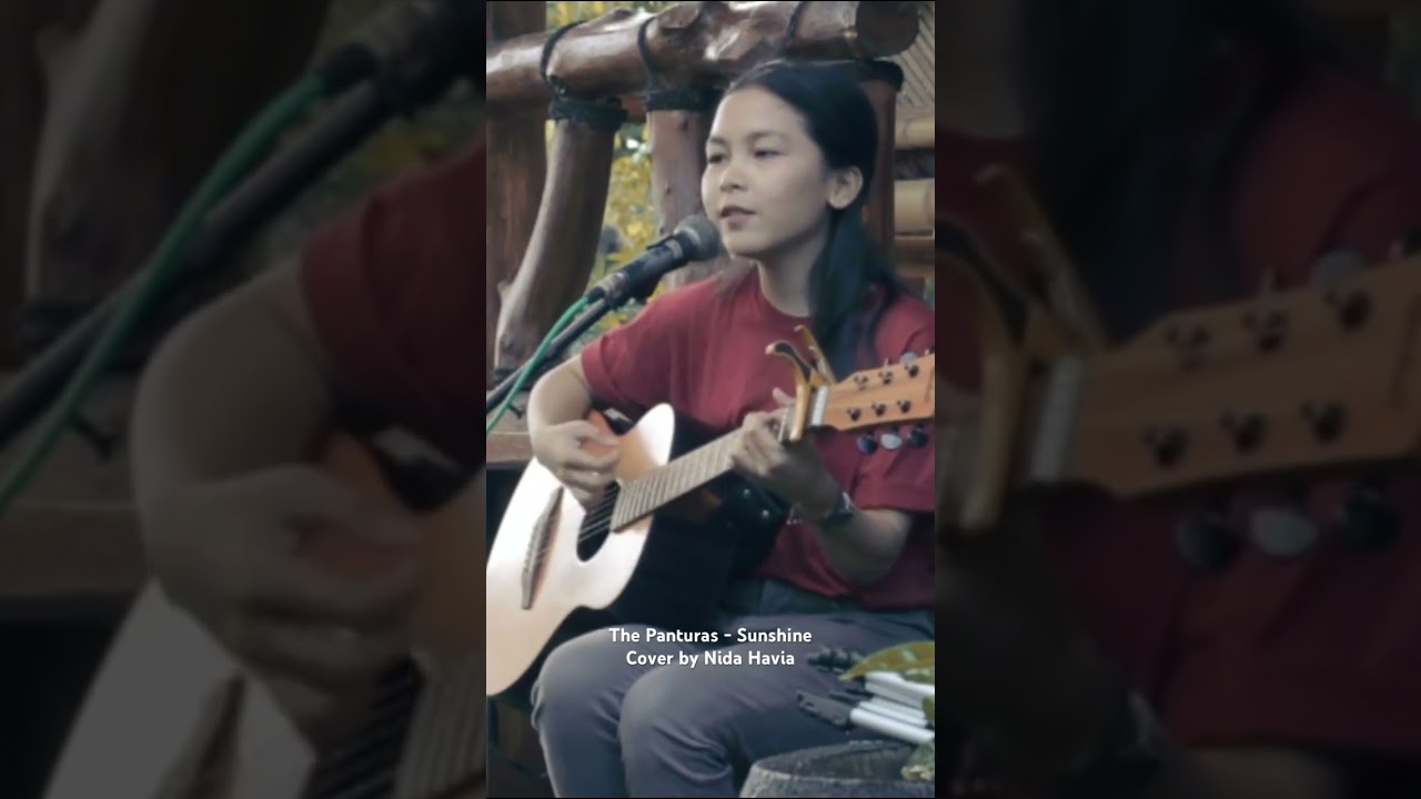 The Panturas - Sunshine 