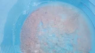 A prospector's trip ice Cold Gold Net Worth