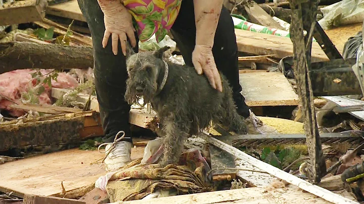 Okla. tornado survivor finds dog buried alive unde...