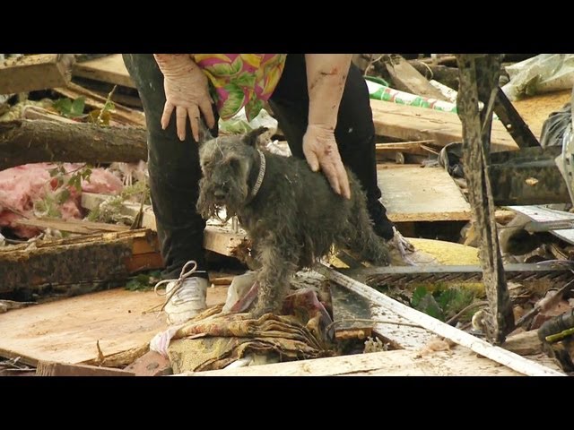 UA Little Rock Student Finds Dog Who Was Lost During Tornado