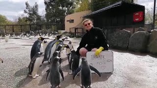 Thank You | Edinburgh Zoo
