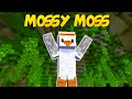 Mossy moss   a minecraft song  official music