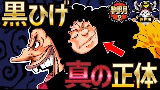 【真の正体】黒ひげが能力を2つ得た秘密!【ONEPIECE考察】【ネタバレ】