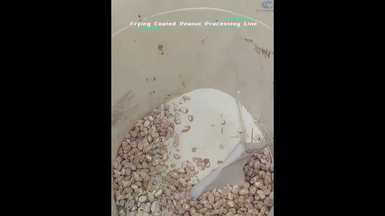 Frying Coated Peanut Processing Line
