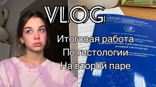 VLOG ЗА ЧТО Я НЕ ЛЮБЛЮ МЕД | УЧЕБА ВСЮ НОЧЬ????