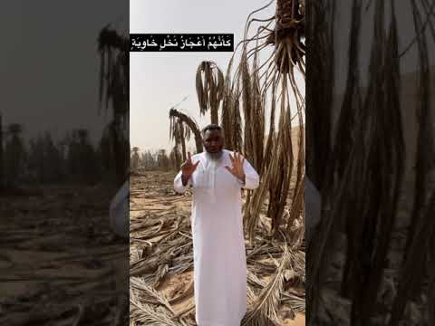 أعجاز نخل خاوية