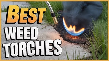 5 Best Weed Torches - Winners of 2025