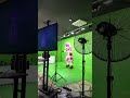 La vaca más hermosa - música infantil para niños #musicaparaniños #vaca