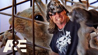 Top 3 SAVAGE Squirrel Captures | Billy the Exterminator | A&E