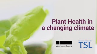 Plant Health in a Changing Climate