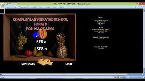 COMPLETE AUTOMATED SCHOOL FORM 8 WITH SUMMARY