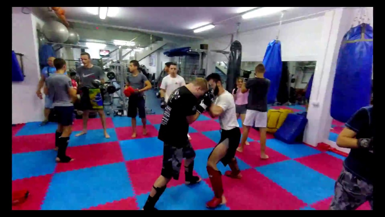 Training in kickbox club Gladiator Kragujevac YouTube